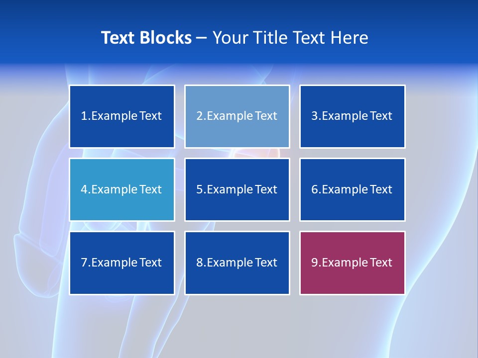 Birth Anatomical Frontal PowerPoint Template