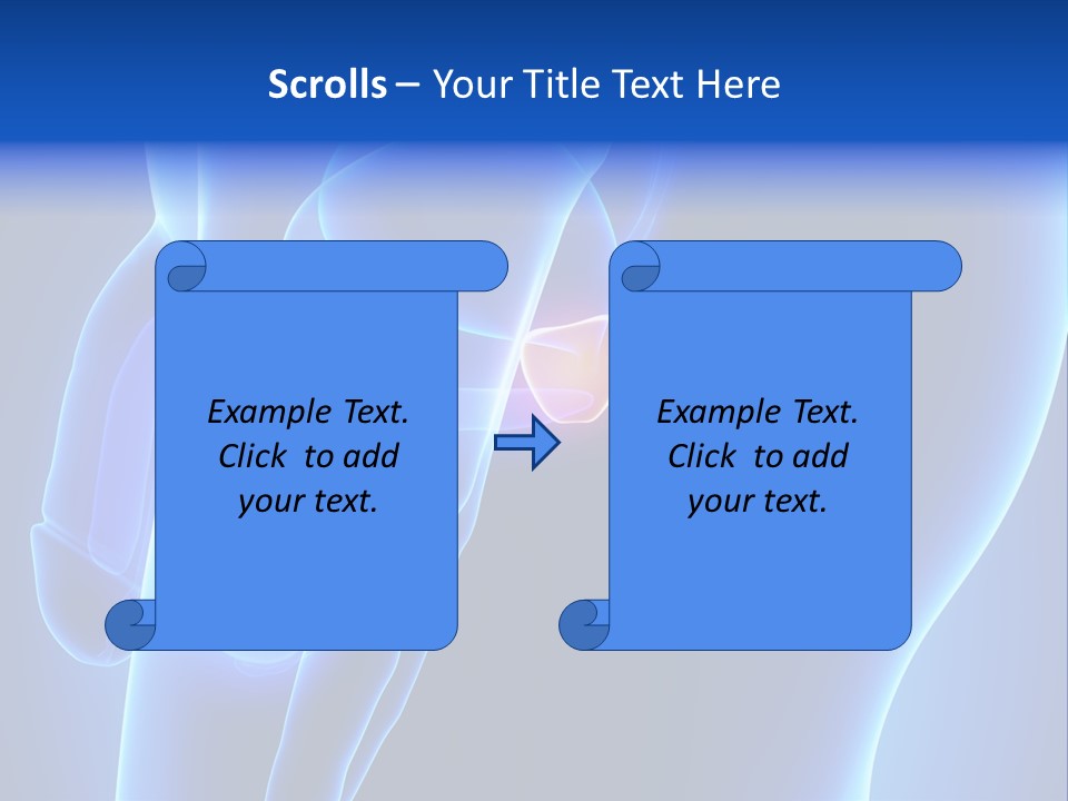 Birth Anatomical Frontal PowerPoint Template