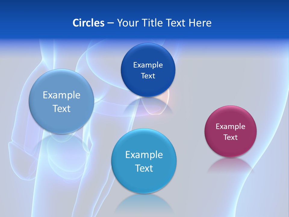 Birth Anatomical Frontal PowerPoint Template