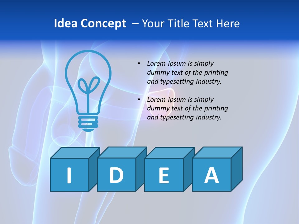 Birth Anatomical Frontal PowerPoint Template