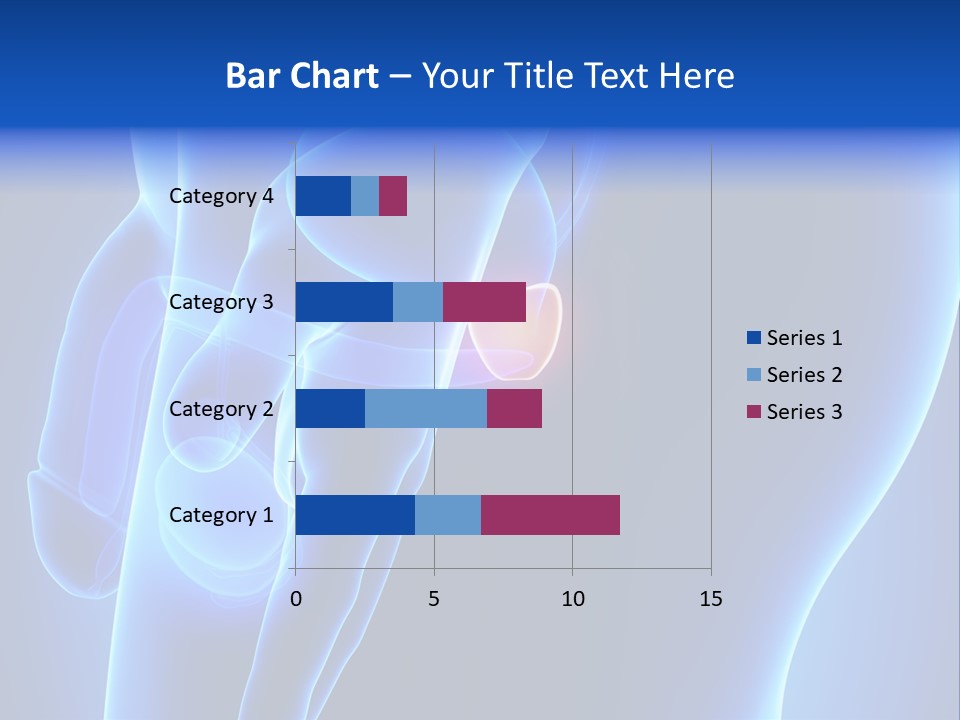 Birth Anatomical Frontal PowerPoint Template