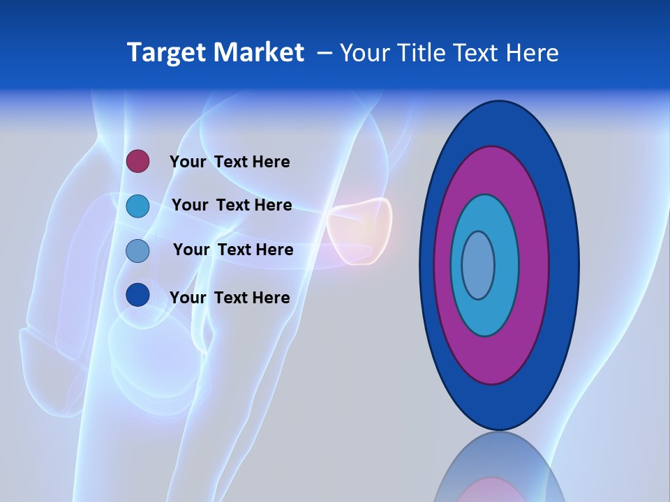 Birth Anatomical Frontal PowerPoint Template