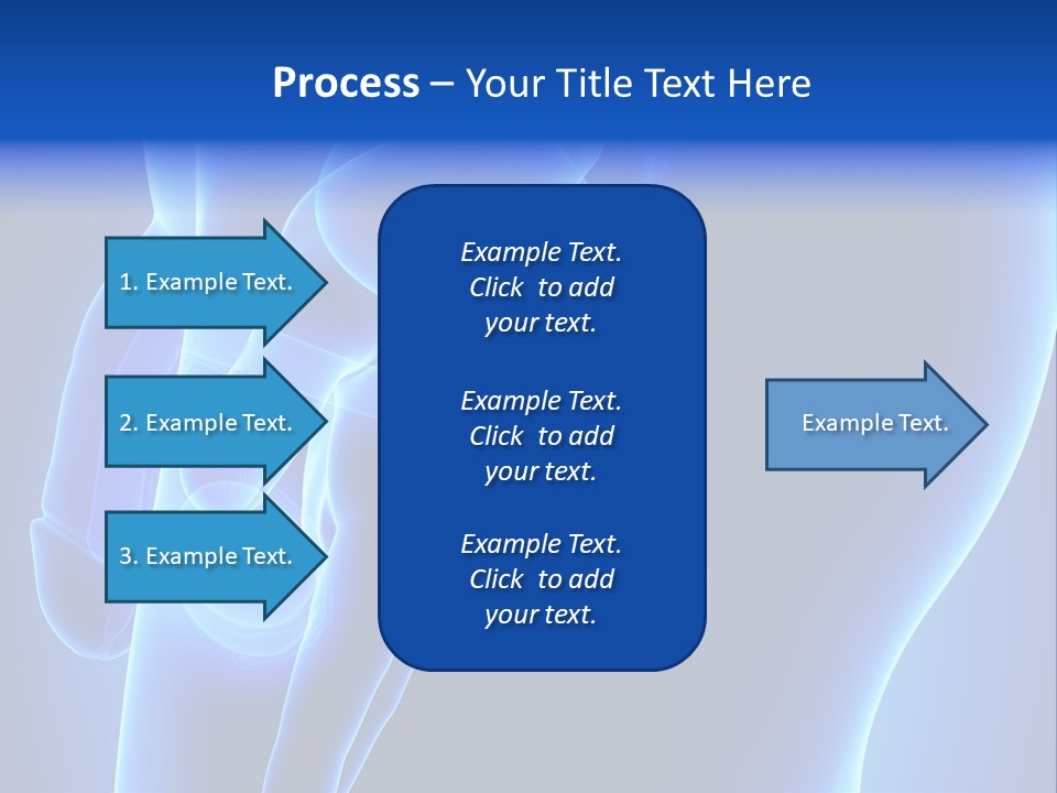 Birth Anatomical Frontal PowerPoint Template