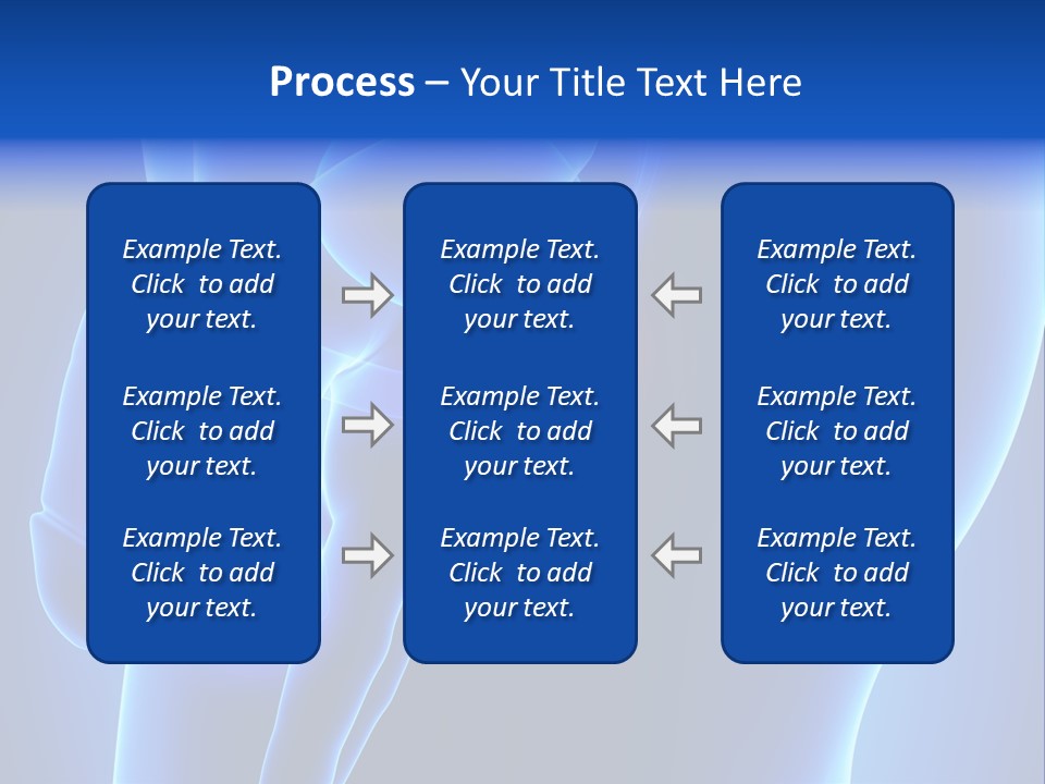 Birth Anatomical Frontal PowerPoint Template