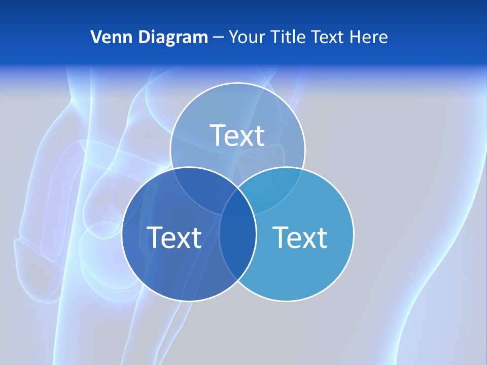 Birth Anatomical Frontal PowerPoint Template