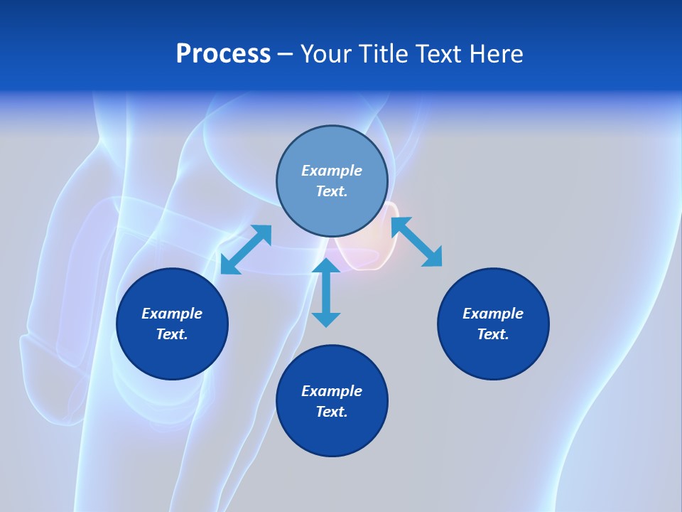 Birth Anatomical Frontal PowerPoint Template