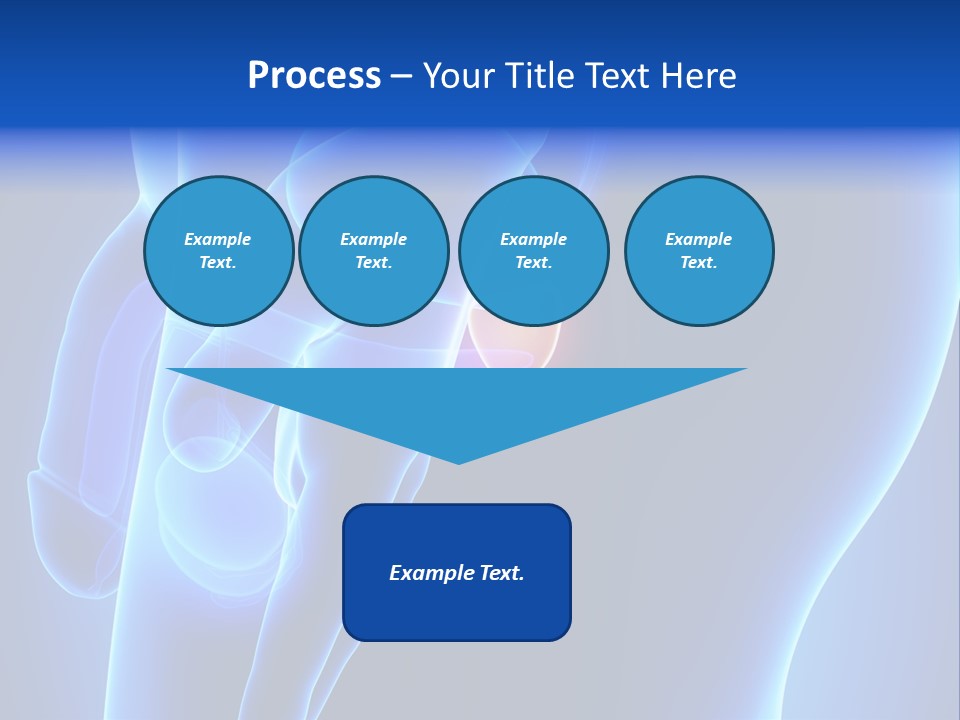 Birth Anatomical Frontal PowerPoint Template