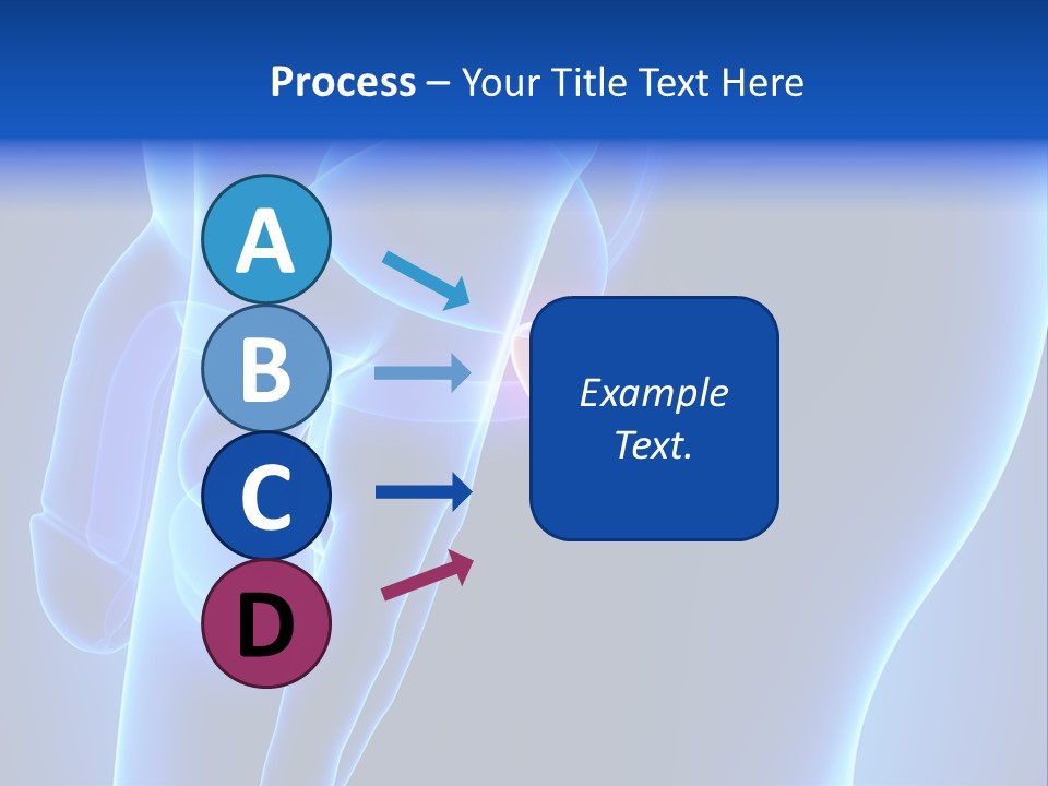 Birth Anatomical Frontal PowerPoint Template