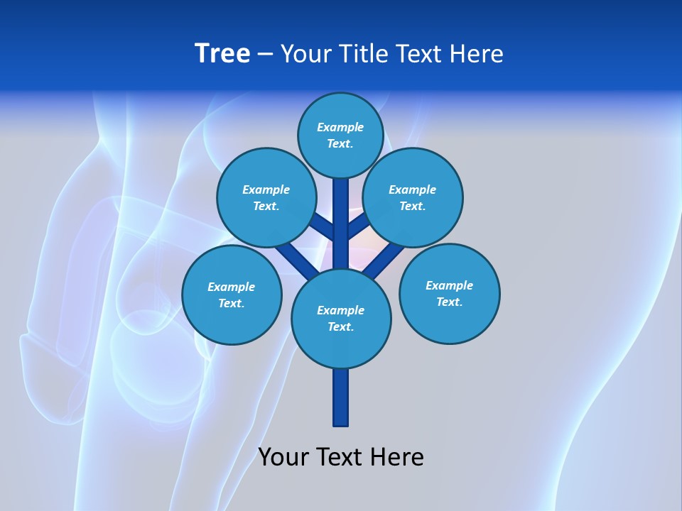 Birth Anatomical Frontal PowerPoint Template
