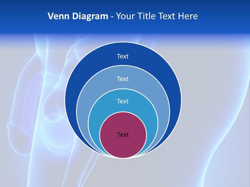 Birth Anatomical Frontal PowerPoint Template