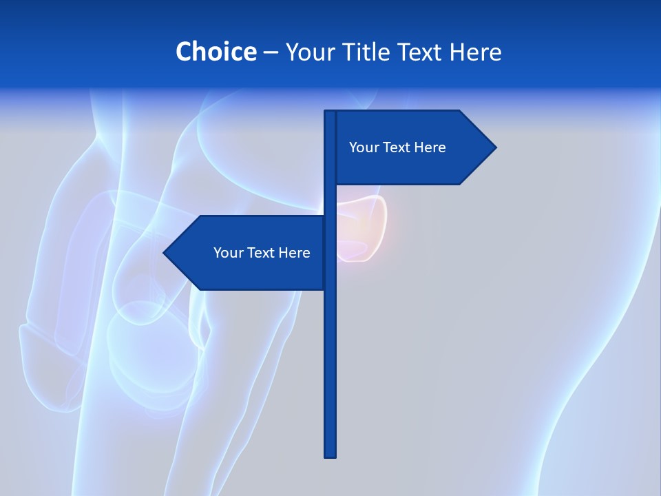 Birth Anatomical Frontal PowerPoint Template