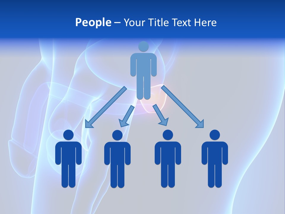 Birth Anatomical Frontal PowerPoint Template