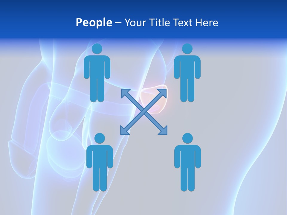 Birth Anatomical Frontal PowerPoint Template