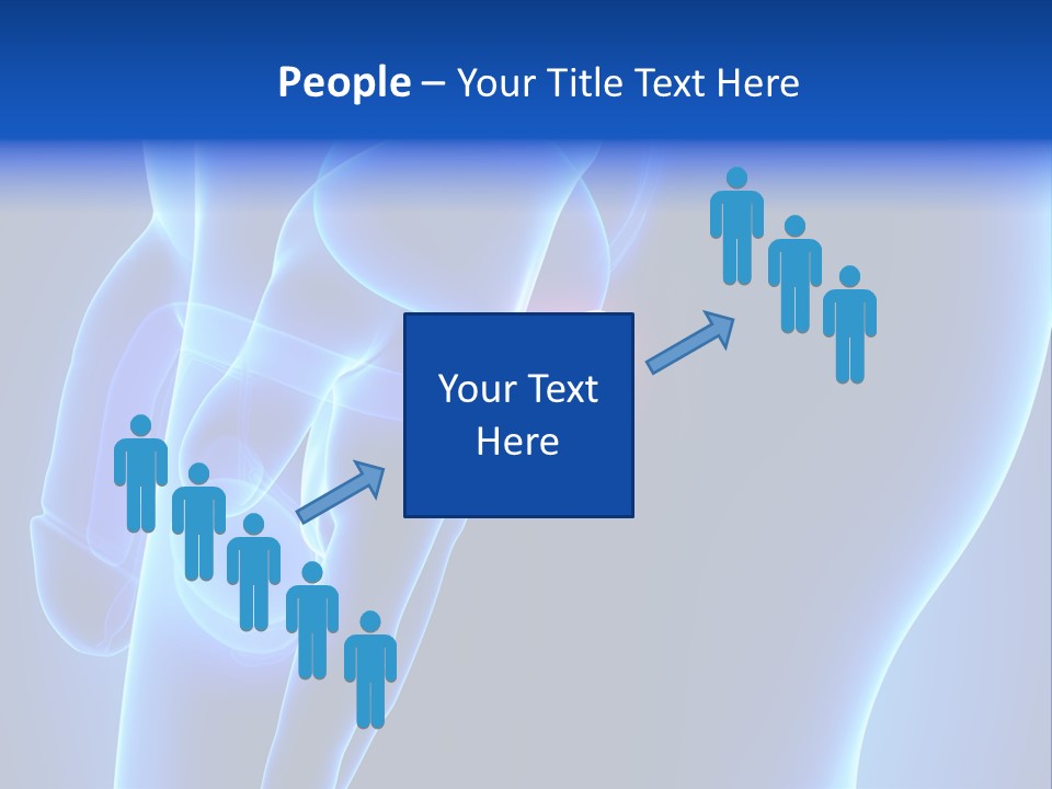 Birth Anatomical Frontal PowerPoint Template