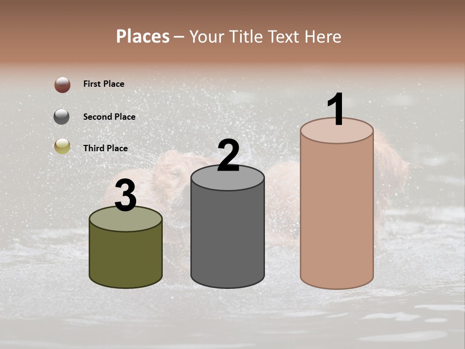 Wet Golden Retriever Pedigree PowerPoint Template