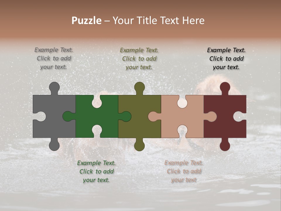 Wet Golden Retriever Pedigree PowerPoint Template