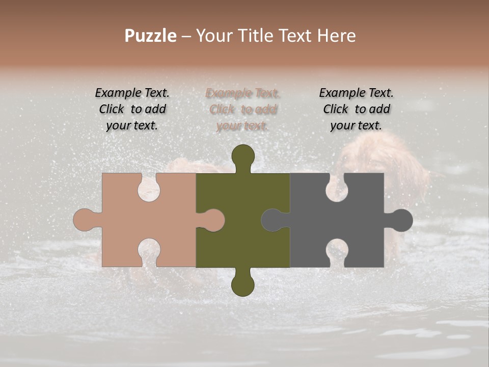 Wet Golden Retriever Pedigree PowerPoint Template