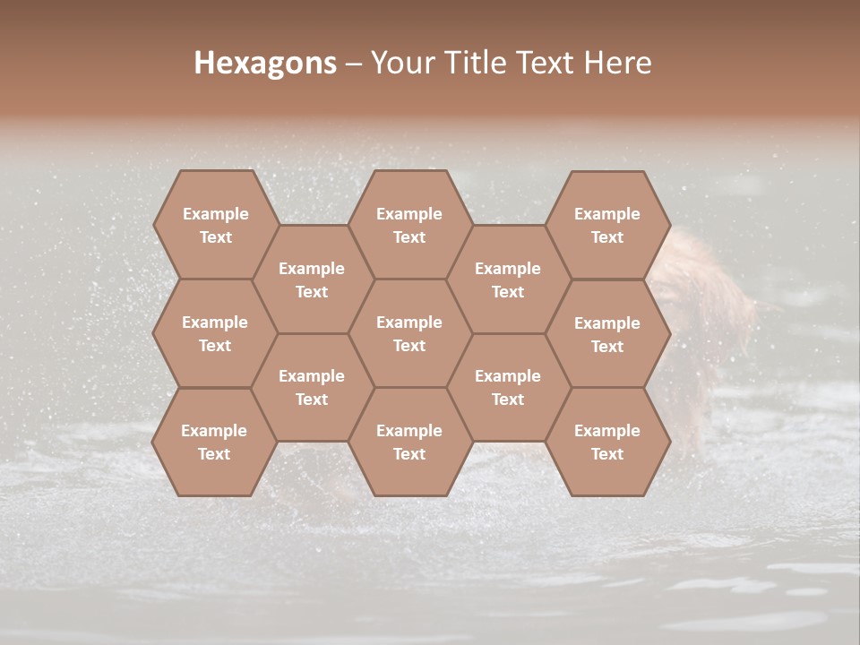 Wet Golden Retriever Pedigree PowerPoint Template