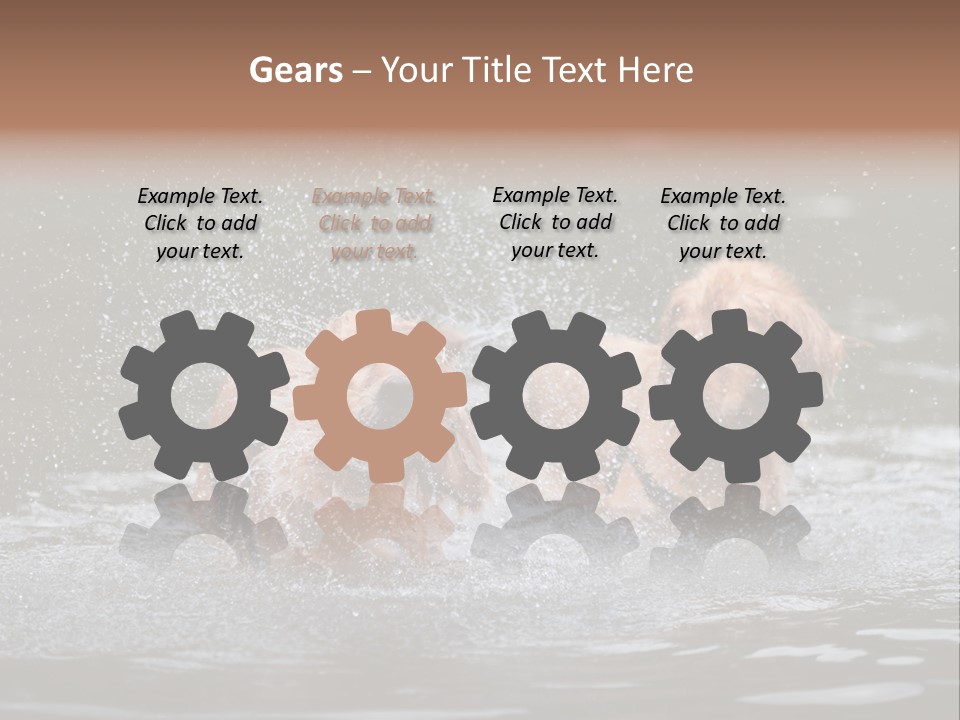 Wet Golden Retriever Pedigree PowerPoint Template