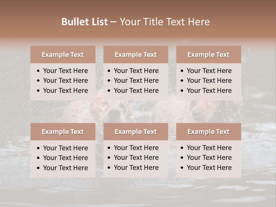 Wet Golden Retriever Pedigree PowerPoint Template