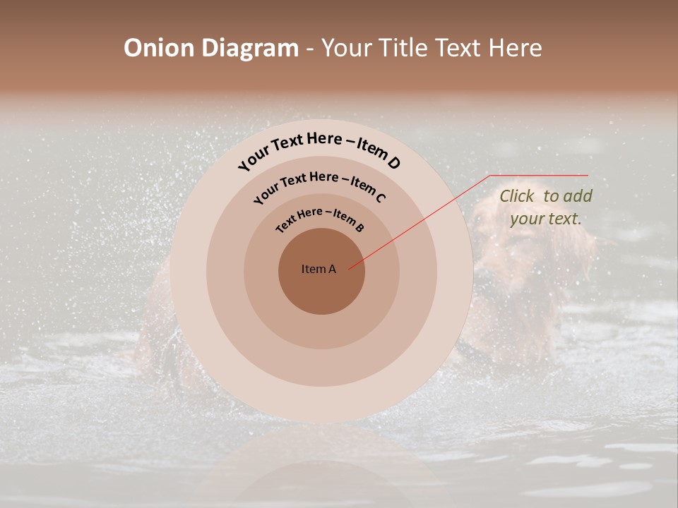 Wet Golden Retriever Pedigree PowerPoint Template