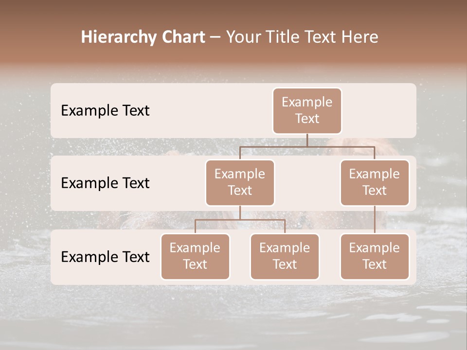 Wet Golden Retriever Pedigree PowerPoint Template