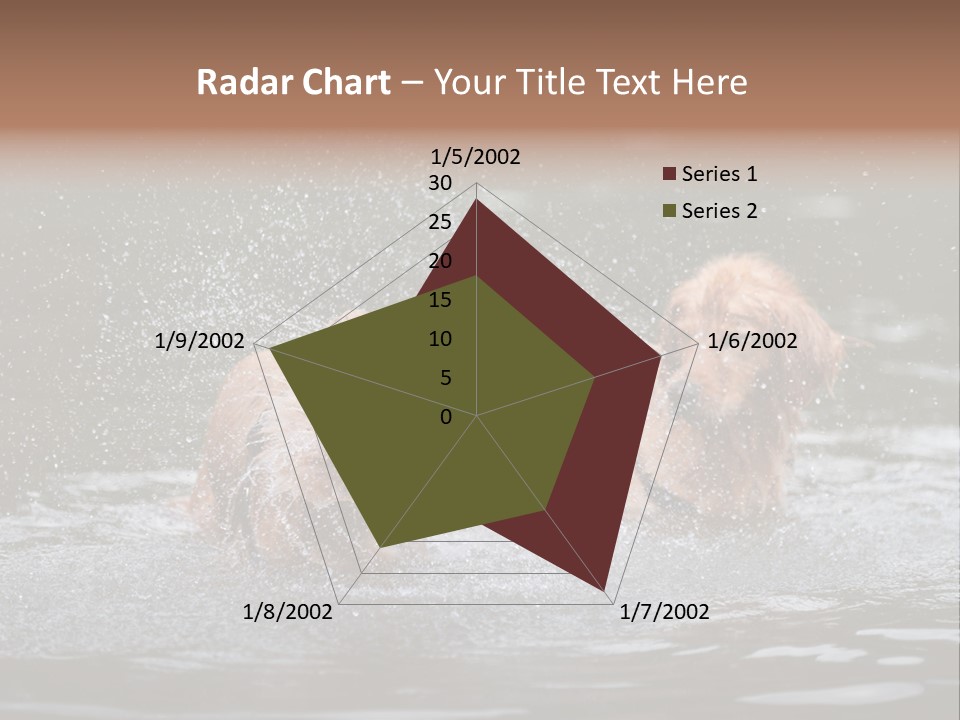 Wet Golden Retriever Pedigree PowerPoint Template