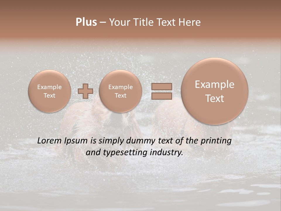 Wet Golden Retriever Pedigree PowerPoint Template