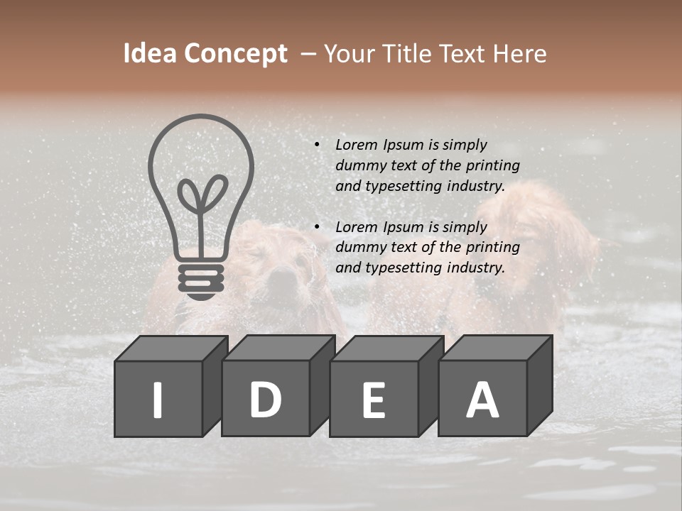Wet Golden Retriever Pedigree PowerPoint Template