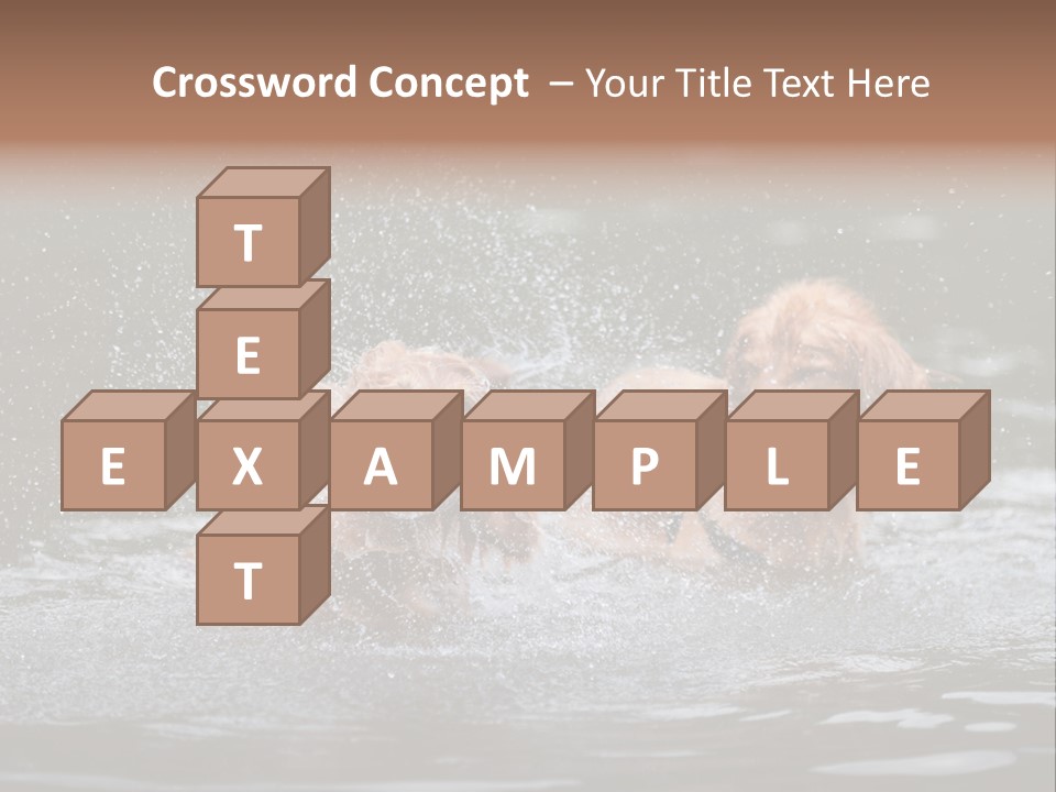 Wet Golden Retriever Pedigree PowerPoint Template