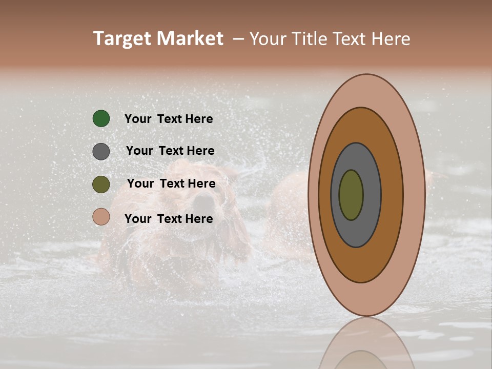 Wet Golden Retriever Pedigree PowerPoint Template