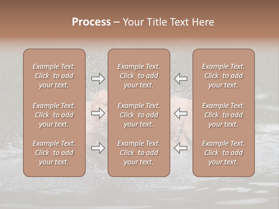 Wet Golden Retriever Pedigree PowerPoint Template