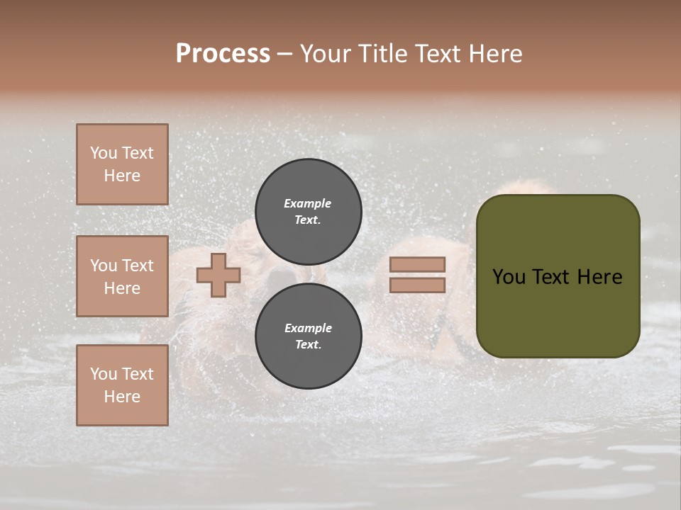 Wet Golden Retriever Pedigree PowerPoint Template
