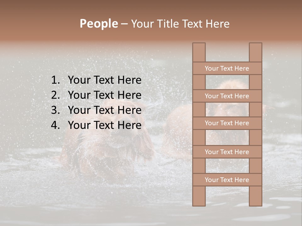 Wet Golden Retriever Pedigree PowerPoint Template
