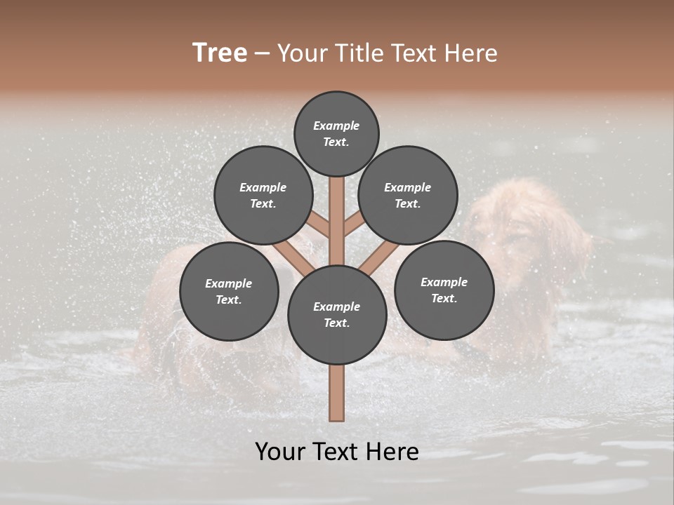 Wet Golden Retriever Pedigree PowerPoint Template