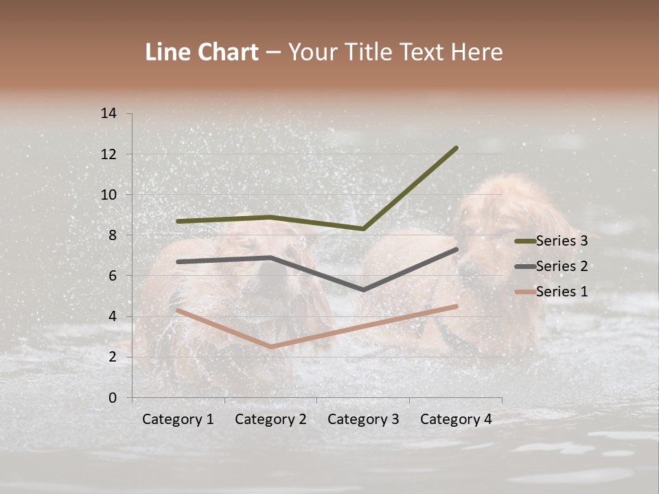 Wet Golden Retriever Pedigree PowerPoint Template