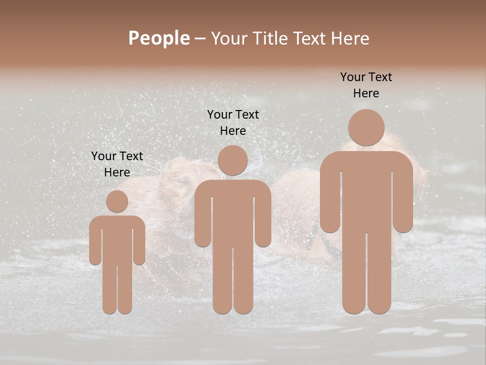 Wet Golden Retriever Pedigree PowerPoint Template