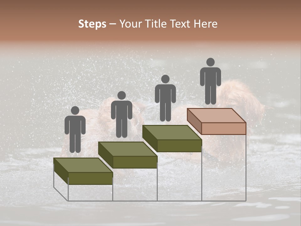 Wet Golden Retriever Pedigree PowerPoint Template