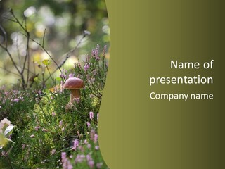 Outdoors Heather Forest PowerPoint Template