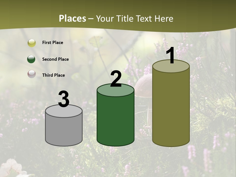 Outdoors Heather Forest PowerPoint Template