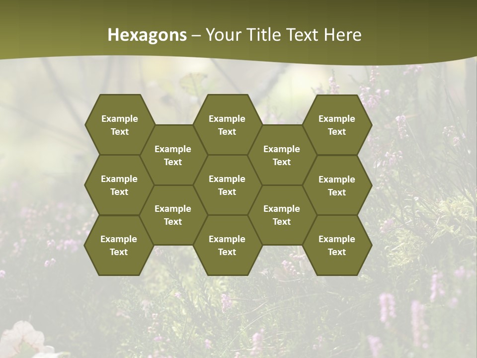 Outdoors Heather Forest PowerPoint Template