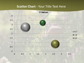 Outdoors Heather Forest PowerPoint Template