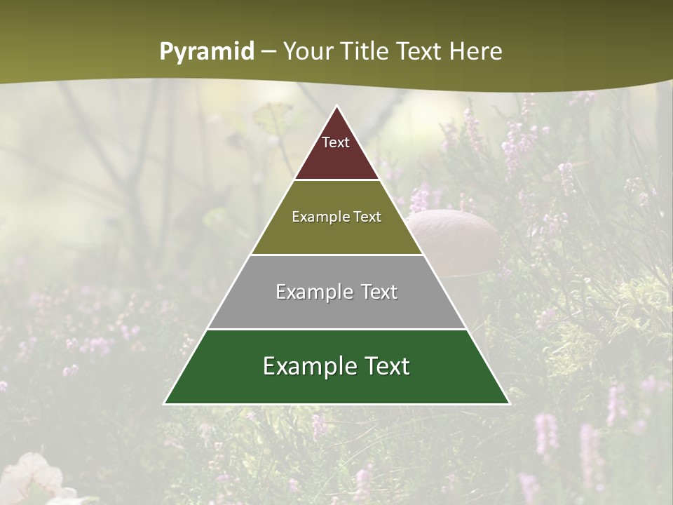 Outdoors Heather Forest PowerPoint Template