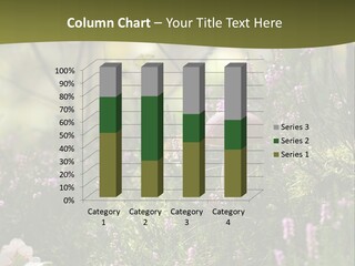 Outdoors Heather Forest PowerPoint Template