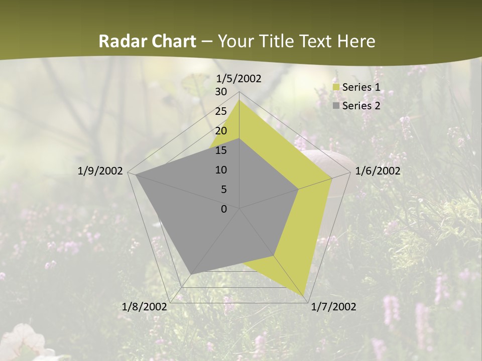 Outdoors Heather Forest PowerPoint Template