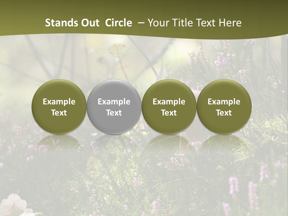 Outdoors Heather Forest PowerPoint Template