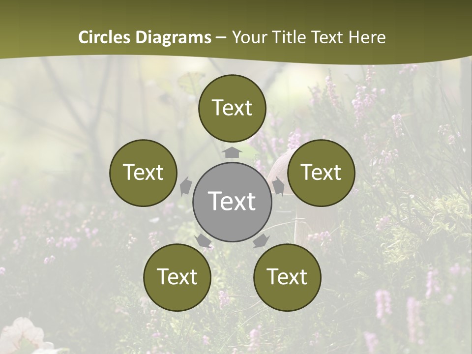 Outdoors Heather Forest PowerPoint Template