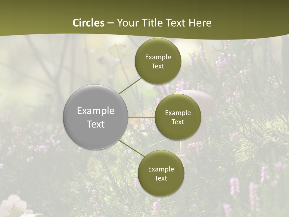 Outdoors Heather Forest PowerPoint Template