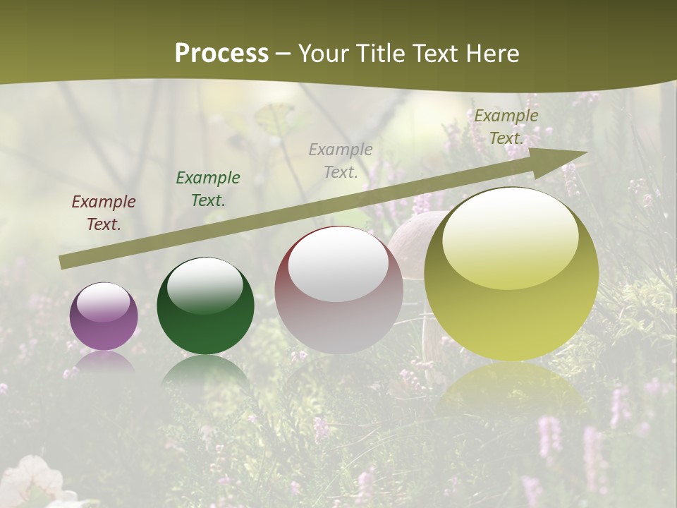 Outdoors Heather Forest PowerPoint Template