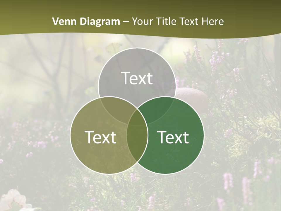 Outdoors Heather Forest PowerPoint Template